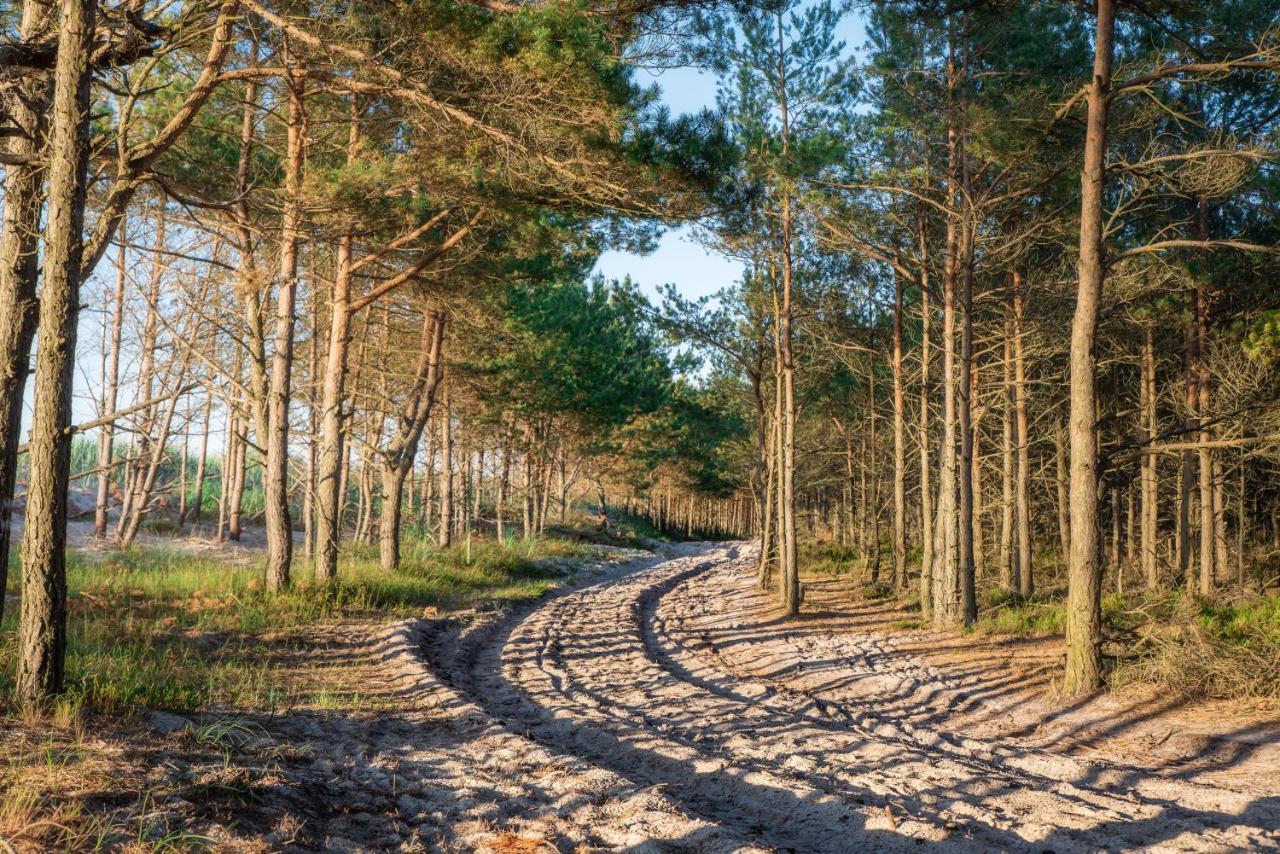 Agroturystyka Gawrys Drewniany Domek Villa Sasino Exteriör bild